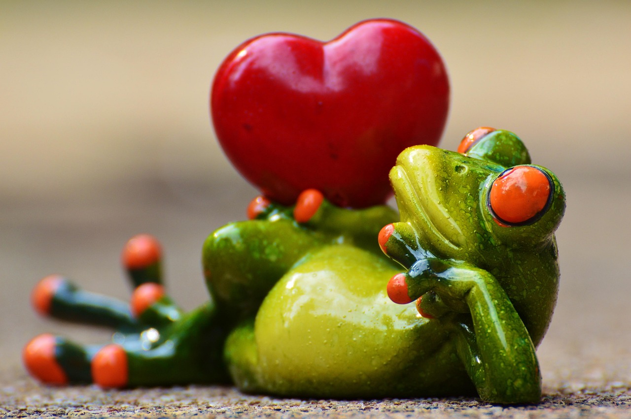 Stunning Valentine's Day Flowers Pics to Inspire Your Celebration