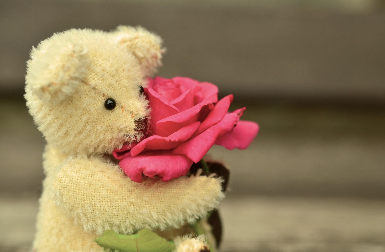 Find the Perfect Valentine's Day Teddy Bear for Your Loved One