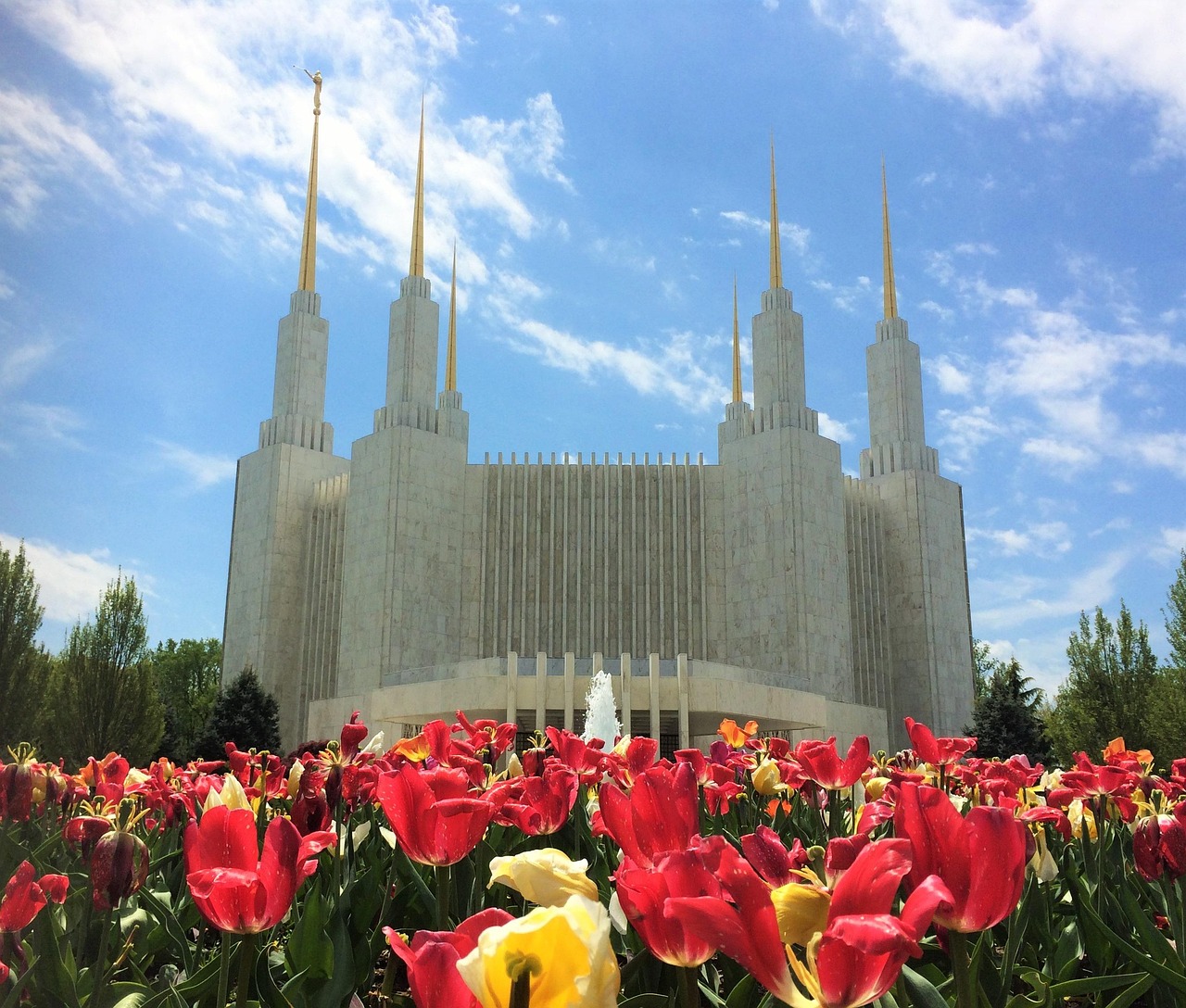 The Book of Mormon Musical: A Hilarious Journey through Faith and Satire