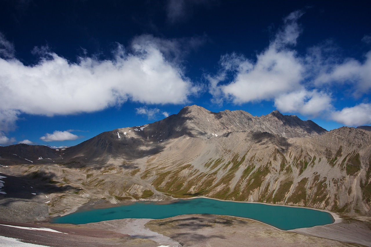 Exploring Lake Animals in the Littoral Zone of Georgia