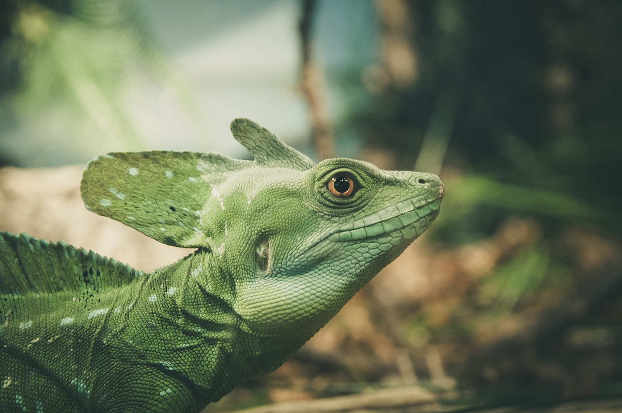 Lizard Spirit Animal Meaning: Unlocking the Symbolism and Lessons