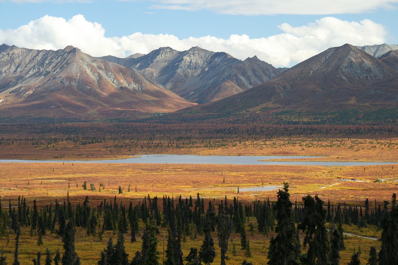 Exploring the Fascinating World of Tundra Animals