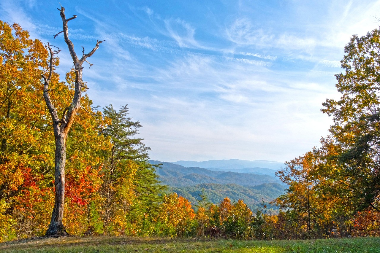 Discover Bath and Body Works in Dyersburg, Tennessee: Your Ultimate Guide