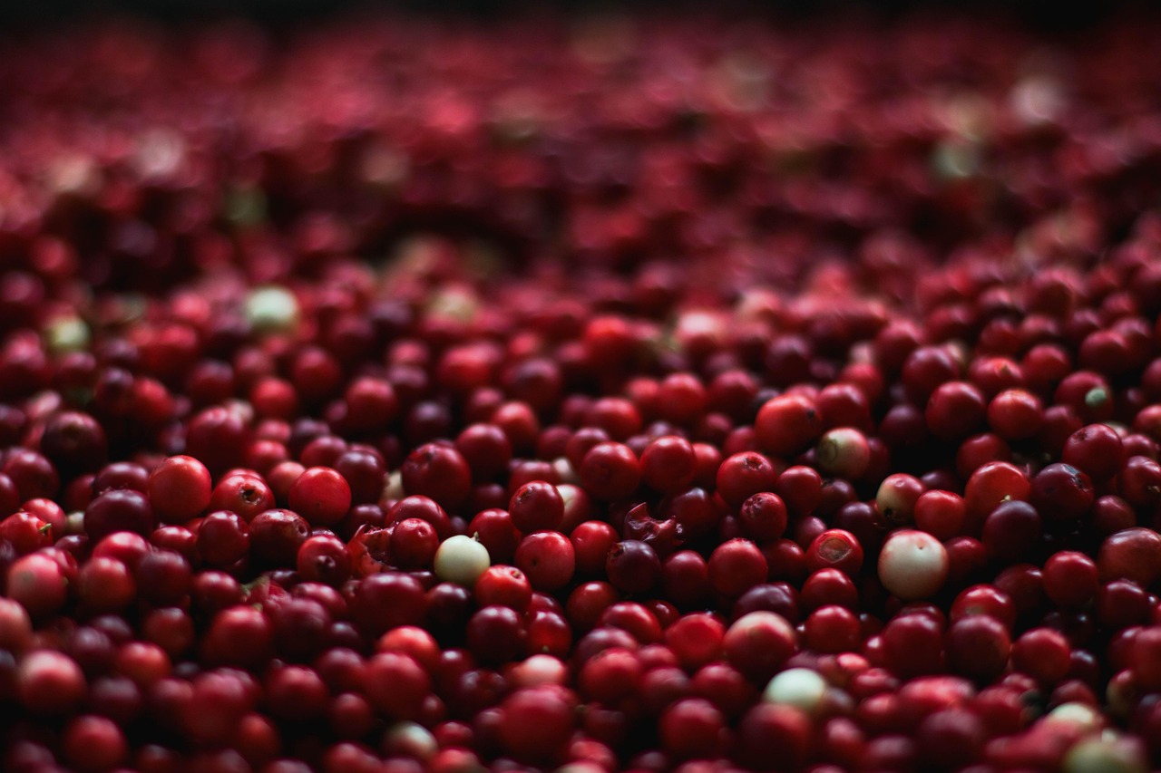 Did Bath and Body Works Have Cranberry Woods? A Complete Guide