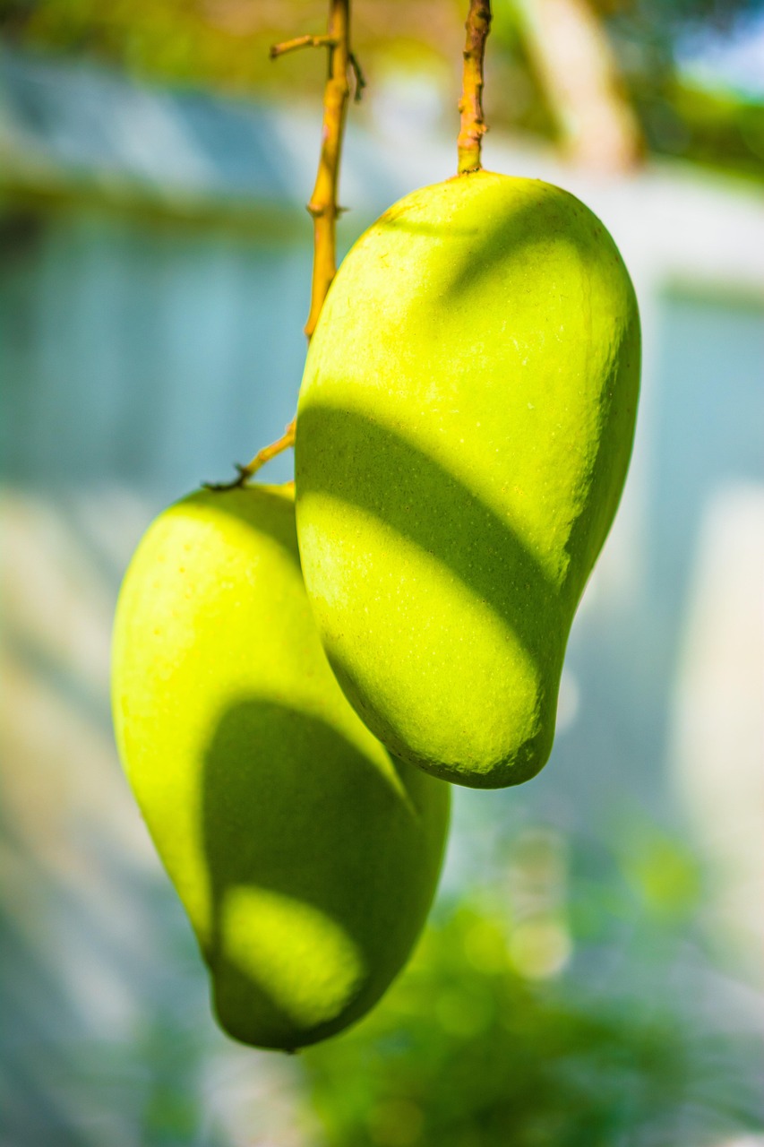 Soñar con Mangos: Interpretación y Significados Ocultos