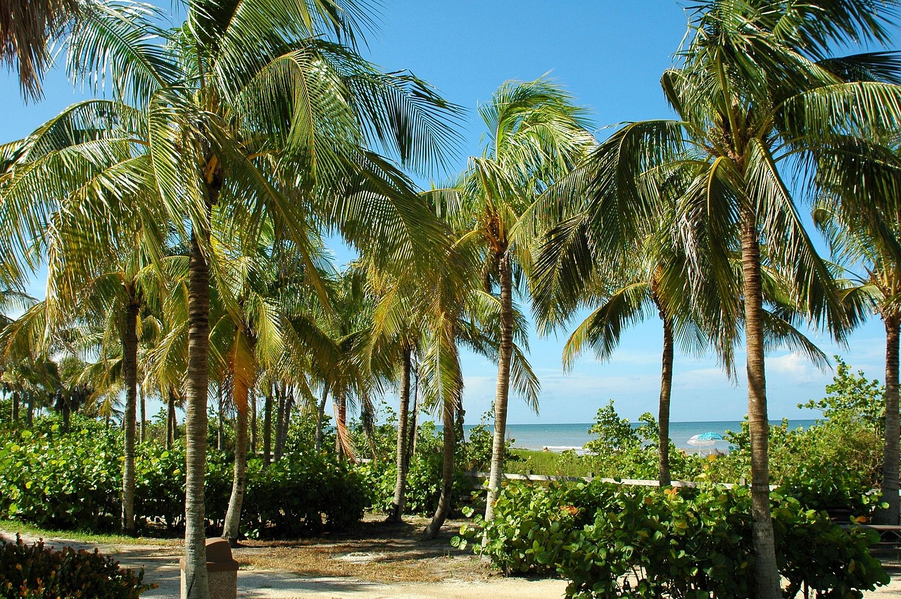 Mangoes Restaurant Key West FL: A Culinary Paradise