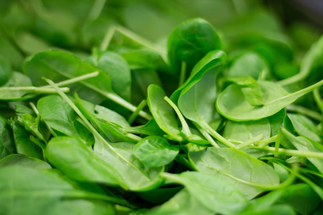 Delightful Spinach Salad Mango: A Healthy and Flavorful Choice