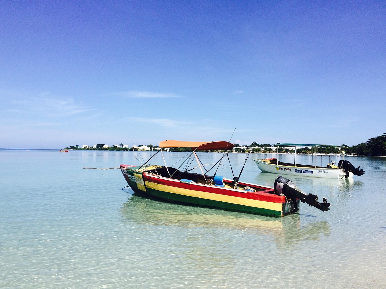 Discover the Delicious World of Mangos Jamaica