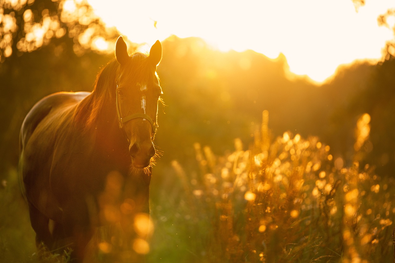 Treating Mange in Horses: Essential Guide for Horse Owners