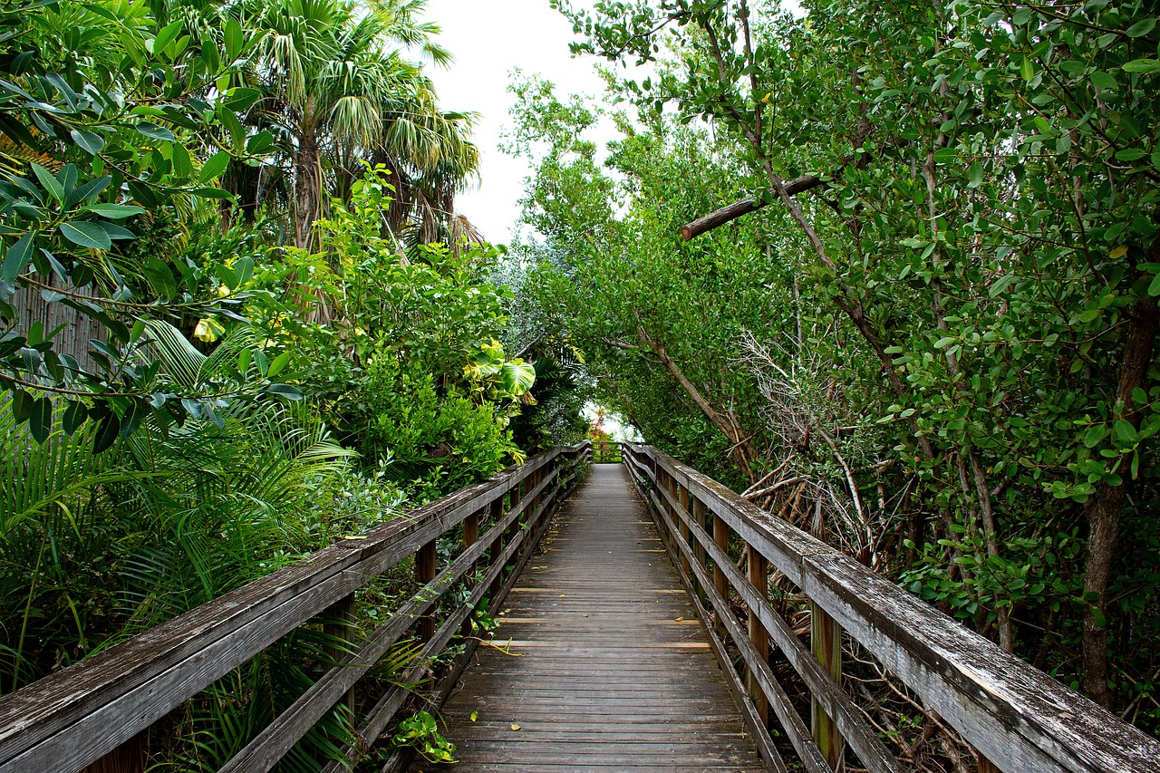 Mangoes Duval Street Key West FL: A Tropical Delight Awaits You