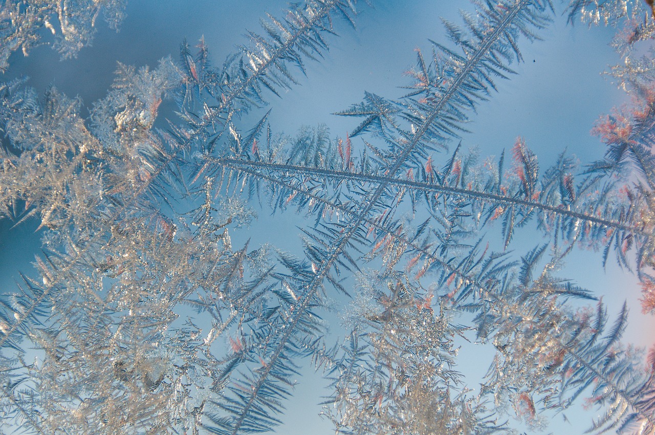 Explore the Enchantment of the Jack Frost Movie