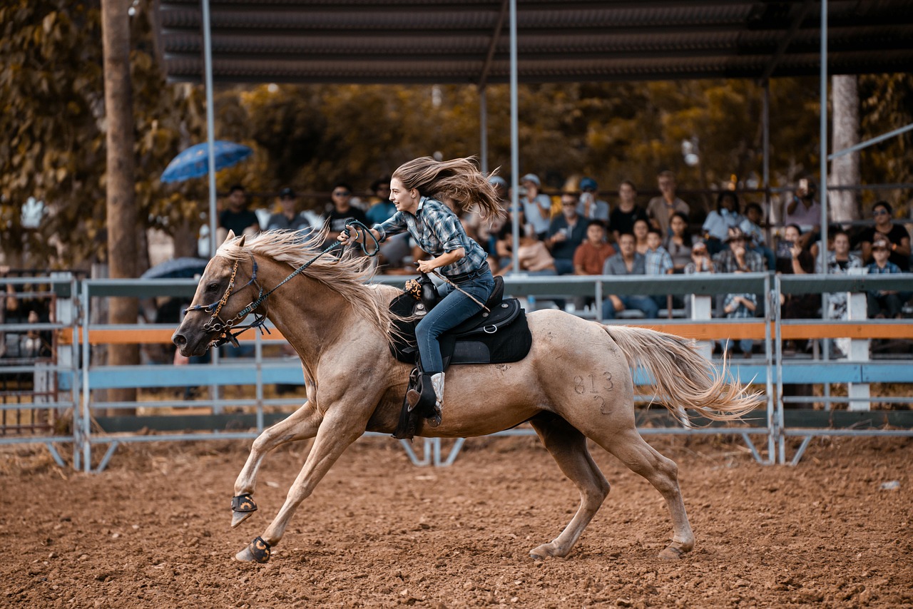 Beyoncé Cowboy Song: A Deep Dive into the Latest Hit