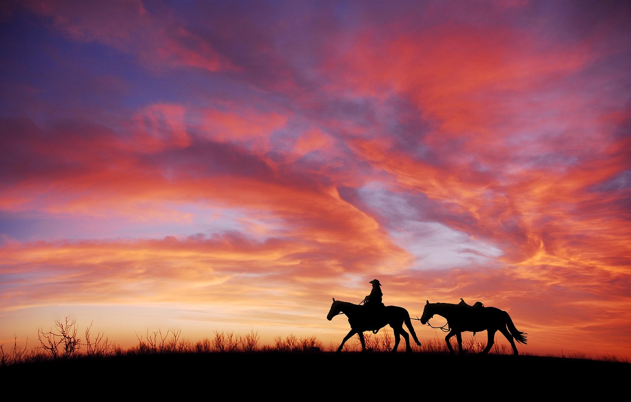 Beyoncé Cowboy Carter Songs: The Perfect Blend of Artistry and Emotion