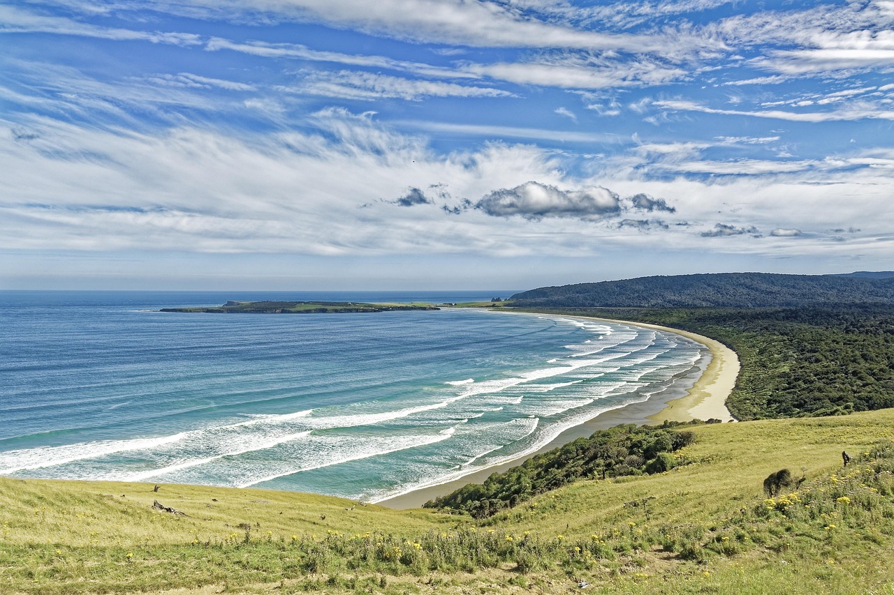 Discover the Unique Experience of Drakes Bay Oyster Farm