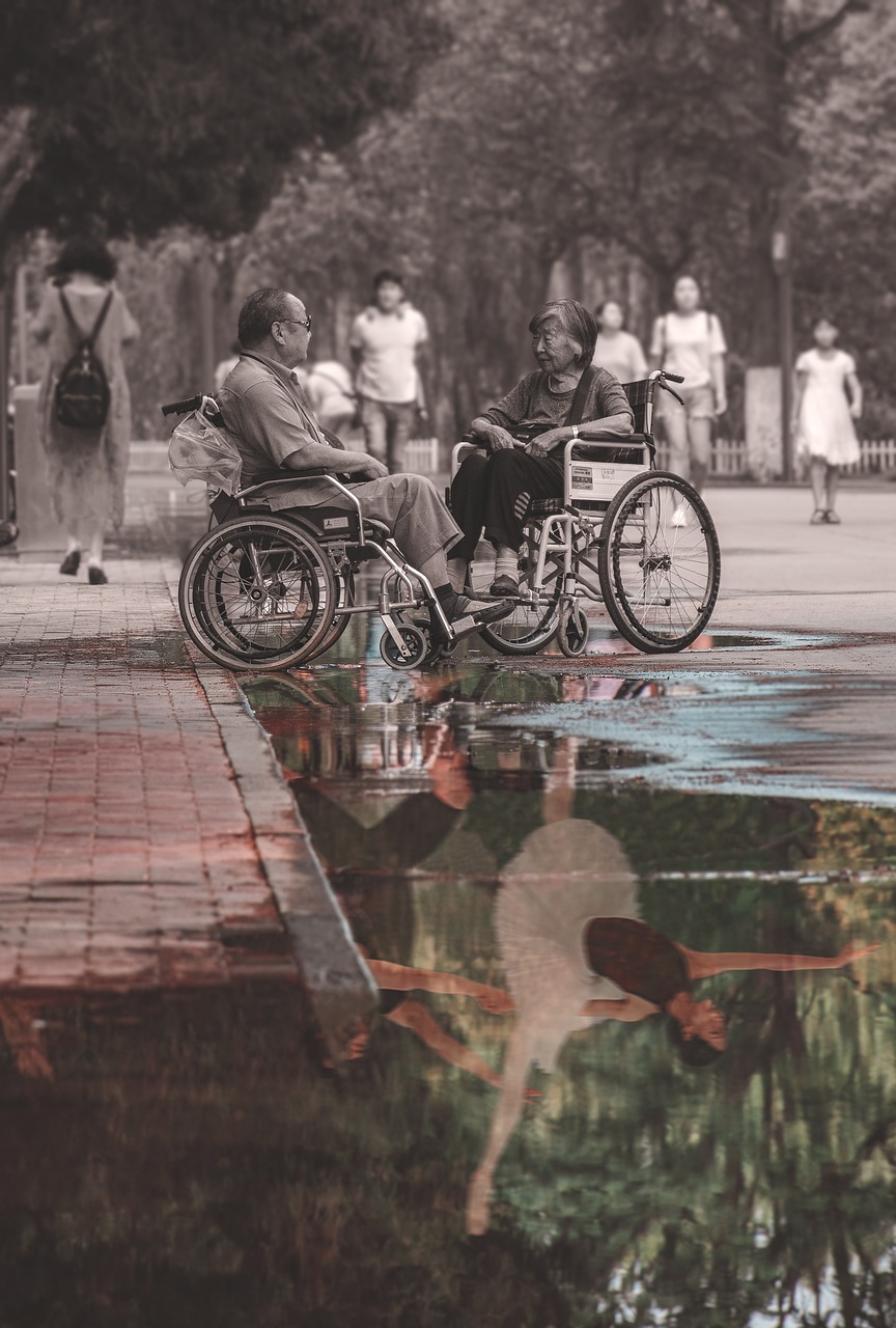 The Fascinating World of the Drake Wheelchair GIF