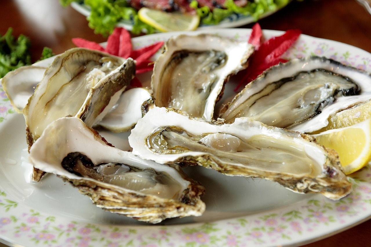 The Drakes Bay Oyster Company: A Sustainable Seafood Delight