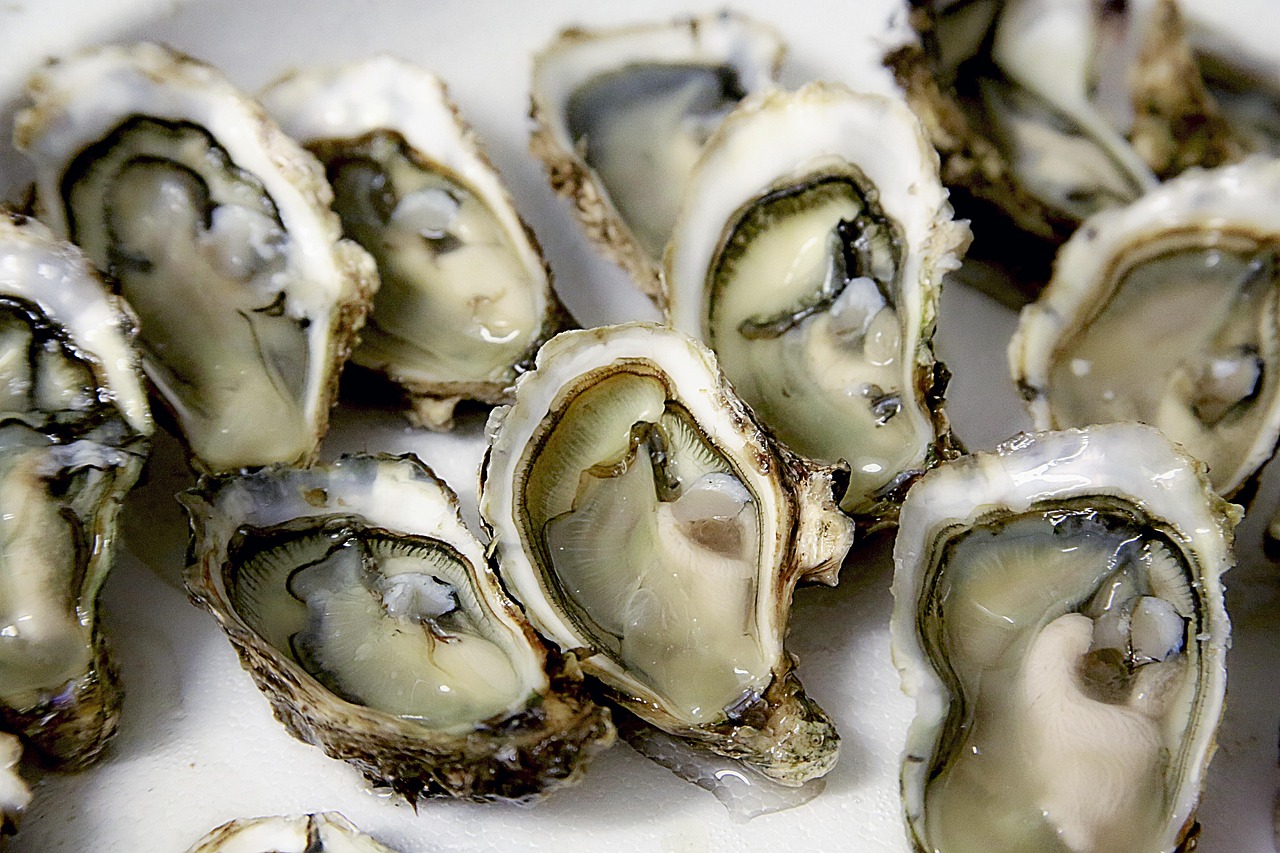 Discover Drakes Oyster Bay: A Hidden Gem for Seafood Lovers