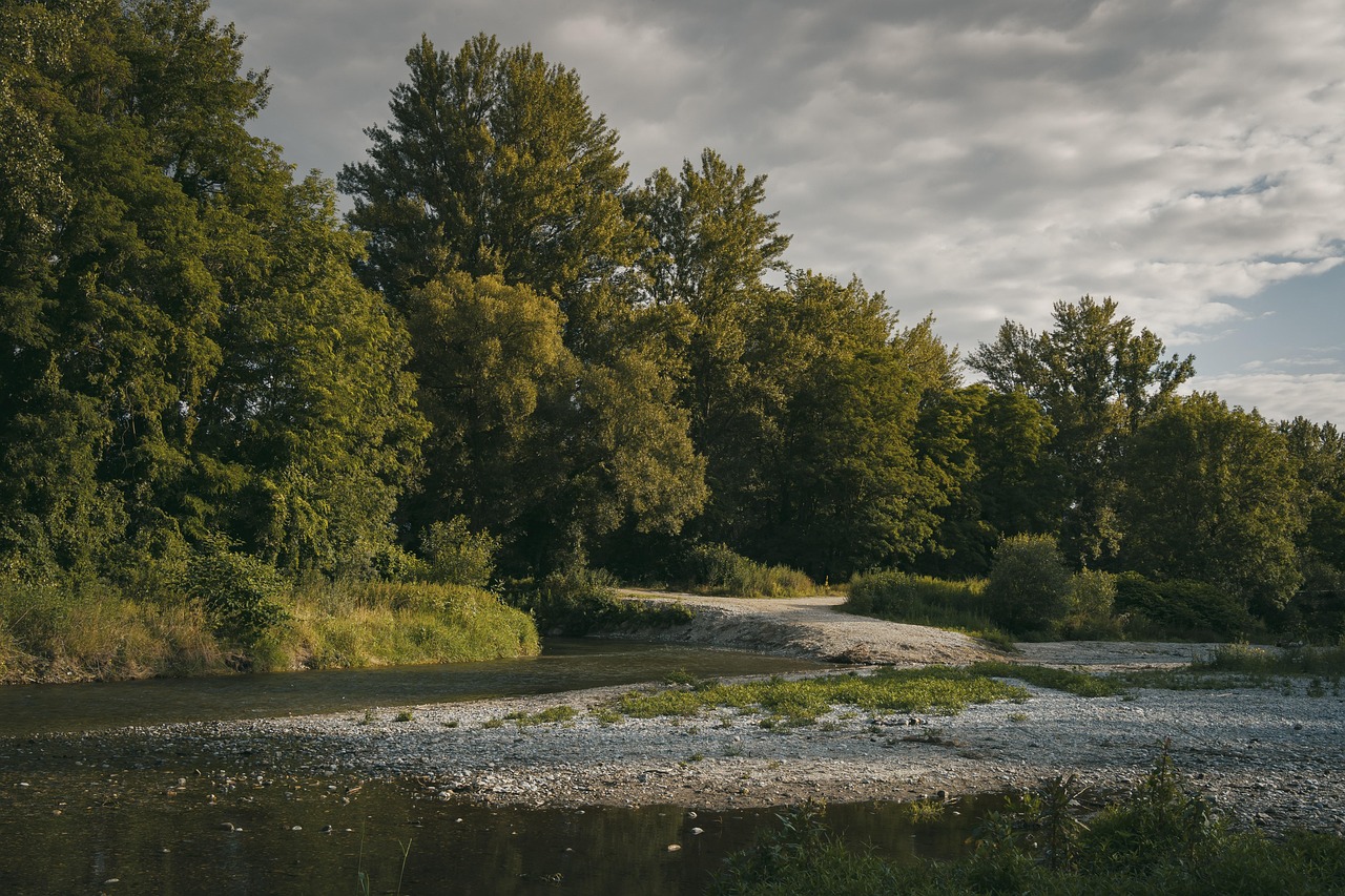 Experiencing the Green Drake Hatch on Penns Creek: A Fly Fisherman's Guide