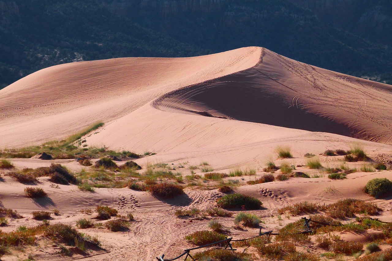 Discover Drake's Ridge: A Hidden Gem for Nature Lovers