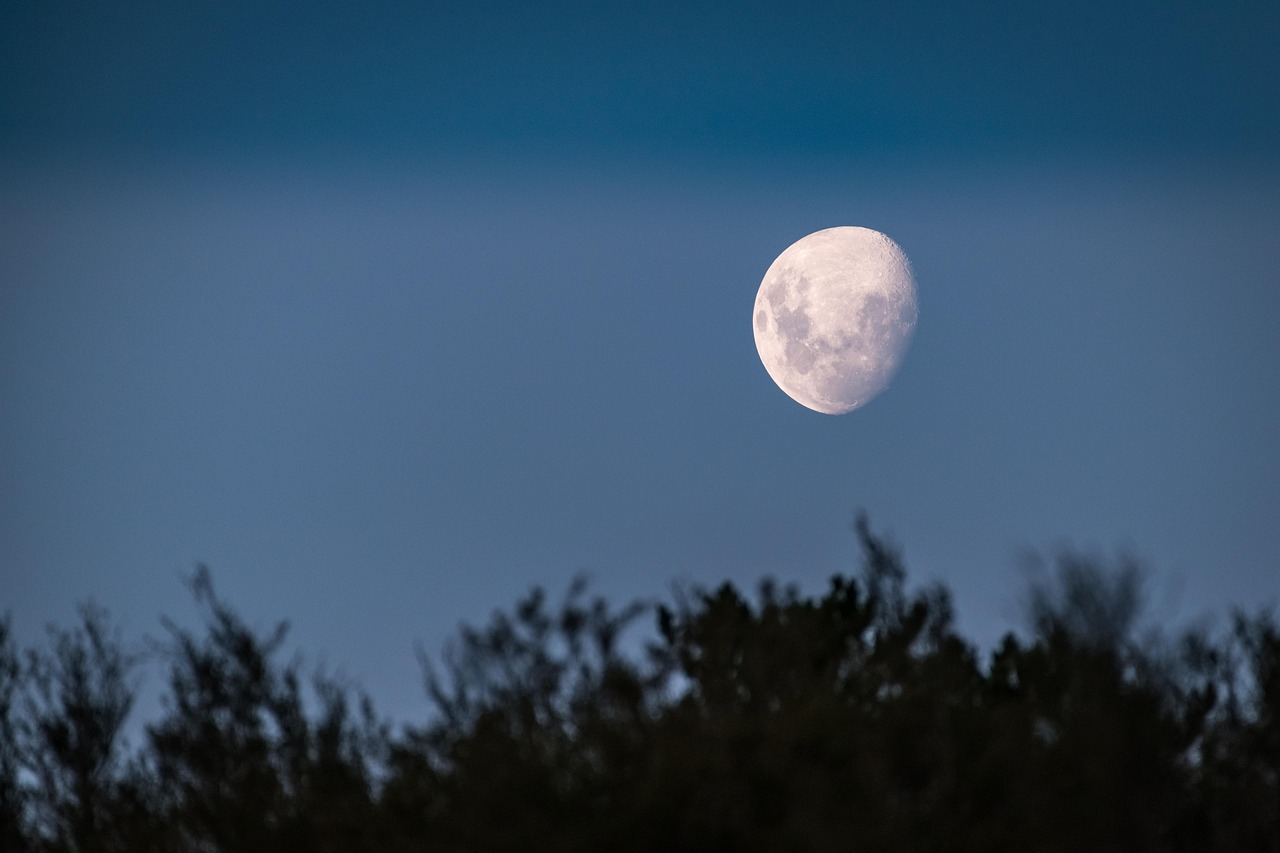 Elvis Presley Blue Moon of Kentucky: A Timeless Classic