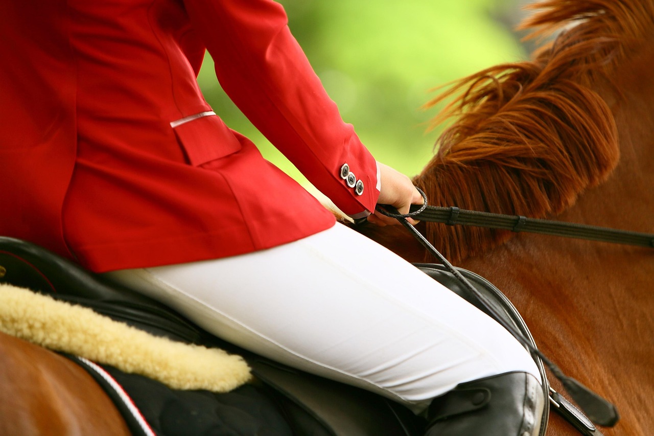 Discover Madonna's Equestrian Academy: A Premier Riding Experience