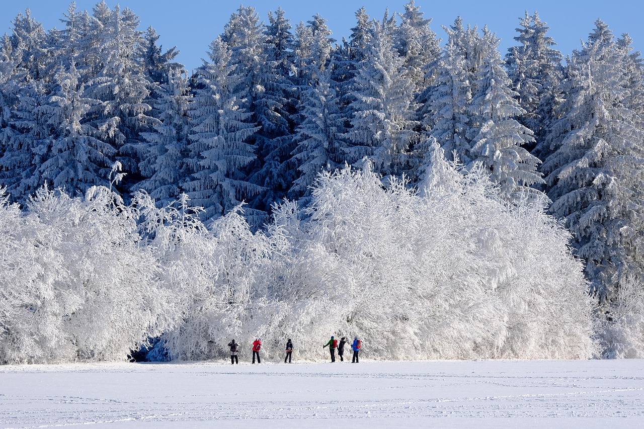 Embrace the Magic of Winter Wonderland with Mariah Carey