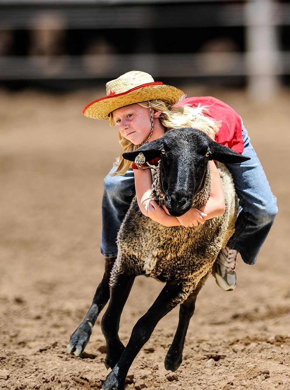 Post Malone at Houston Rodeo: A Can't-Miss Musical Event