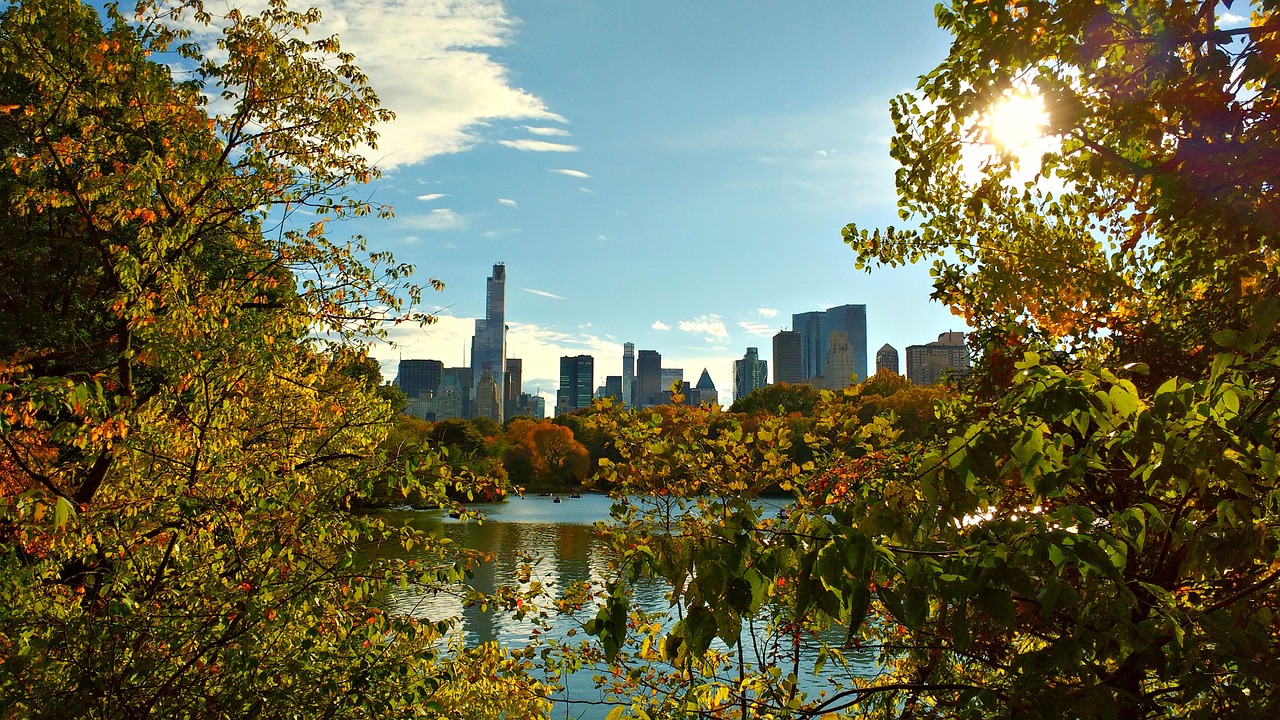 Post Malone NYC Central Park: A Concert to Remember