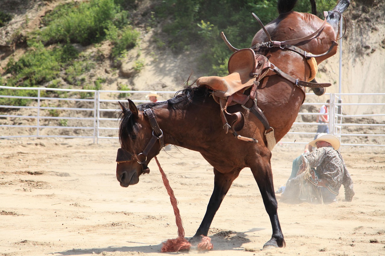 Understanding the Cultural Impact of Travis Scott Rodeo