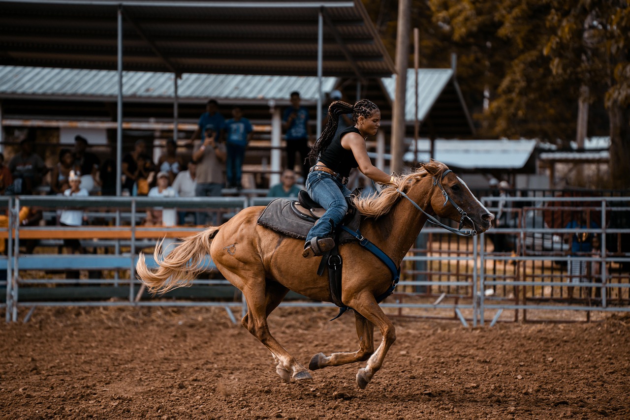 Travis Scott Days Before Rodeo Spotify: The Impact and Significance