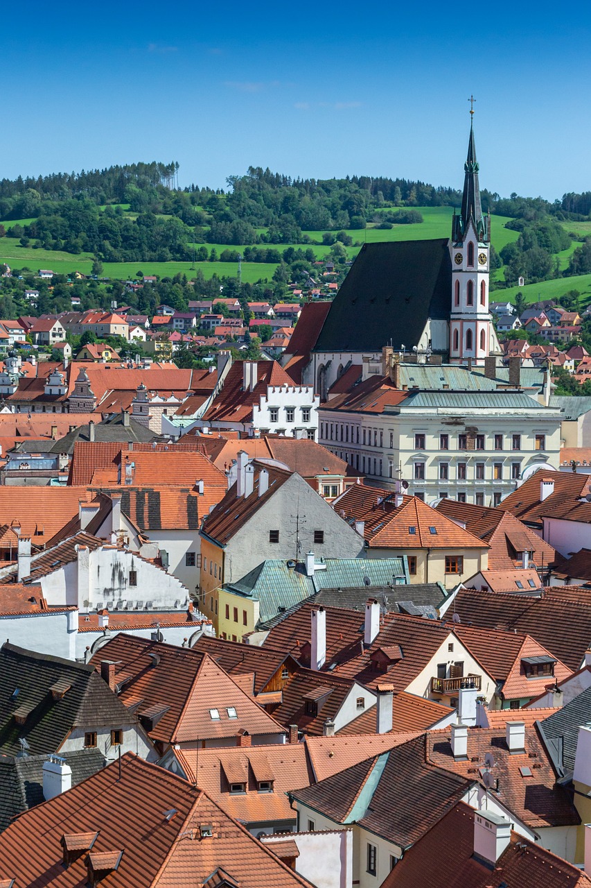 Discover the Thriving Czech American Football League