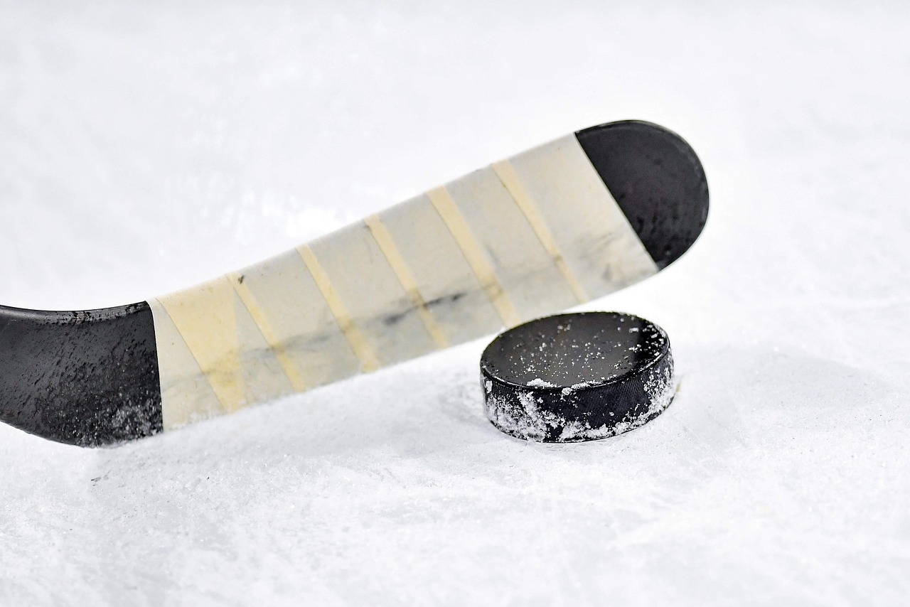 The NHL Official Ice Hockey Puck: A Deep Dive into the Game's Essential Piece