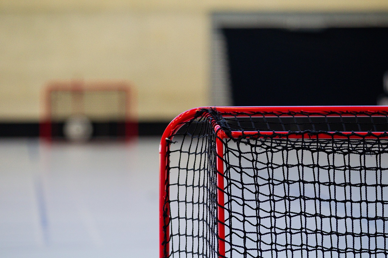 Exploring Mini Ice Hockey Goals: Perfect for Fun and Practice