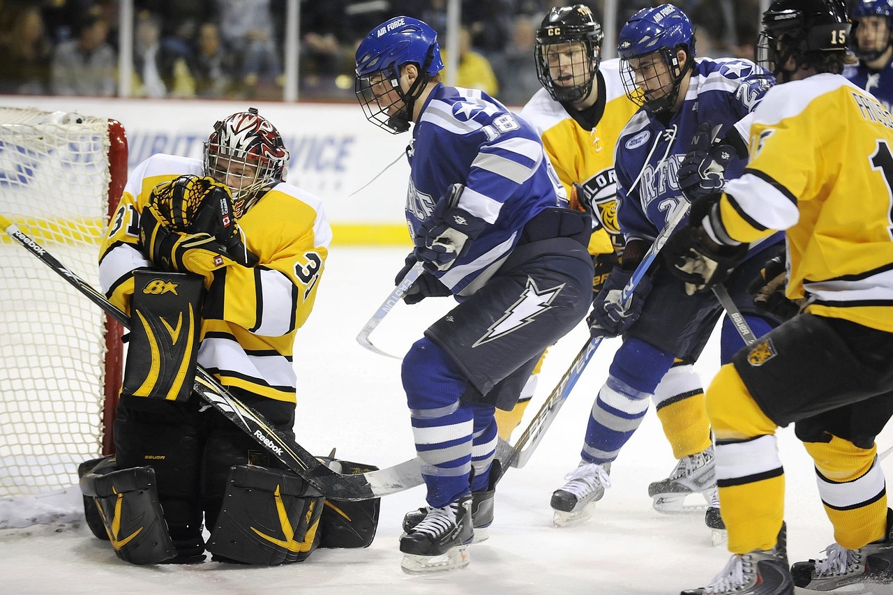 Everything You Need to Know About Ice Hockey Goalie Masks