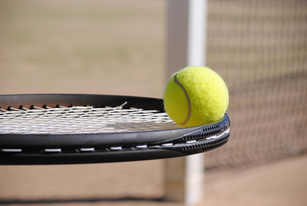 Explore Blossom Hill Park Tennis Courts: A Hidden Gem for Tennis Lovers