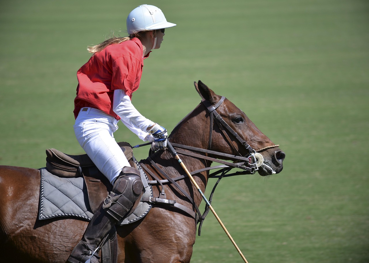 Discover the Uniqlo Tennis Polo: Style Meets Performance