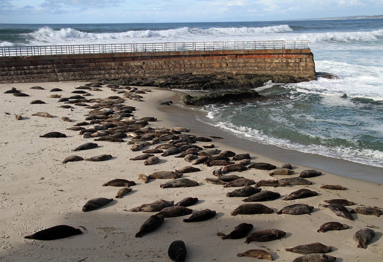 Explore La Jolla Beach and Tennis Club: A Premier Destination in California