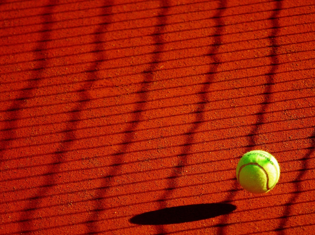 Discovering James Blake's Tennis Journey: A Champion's Legacy