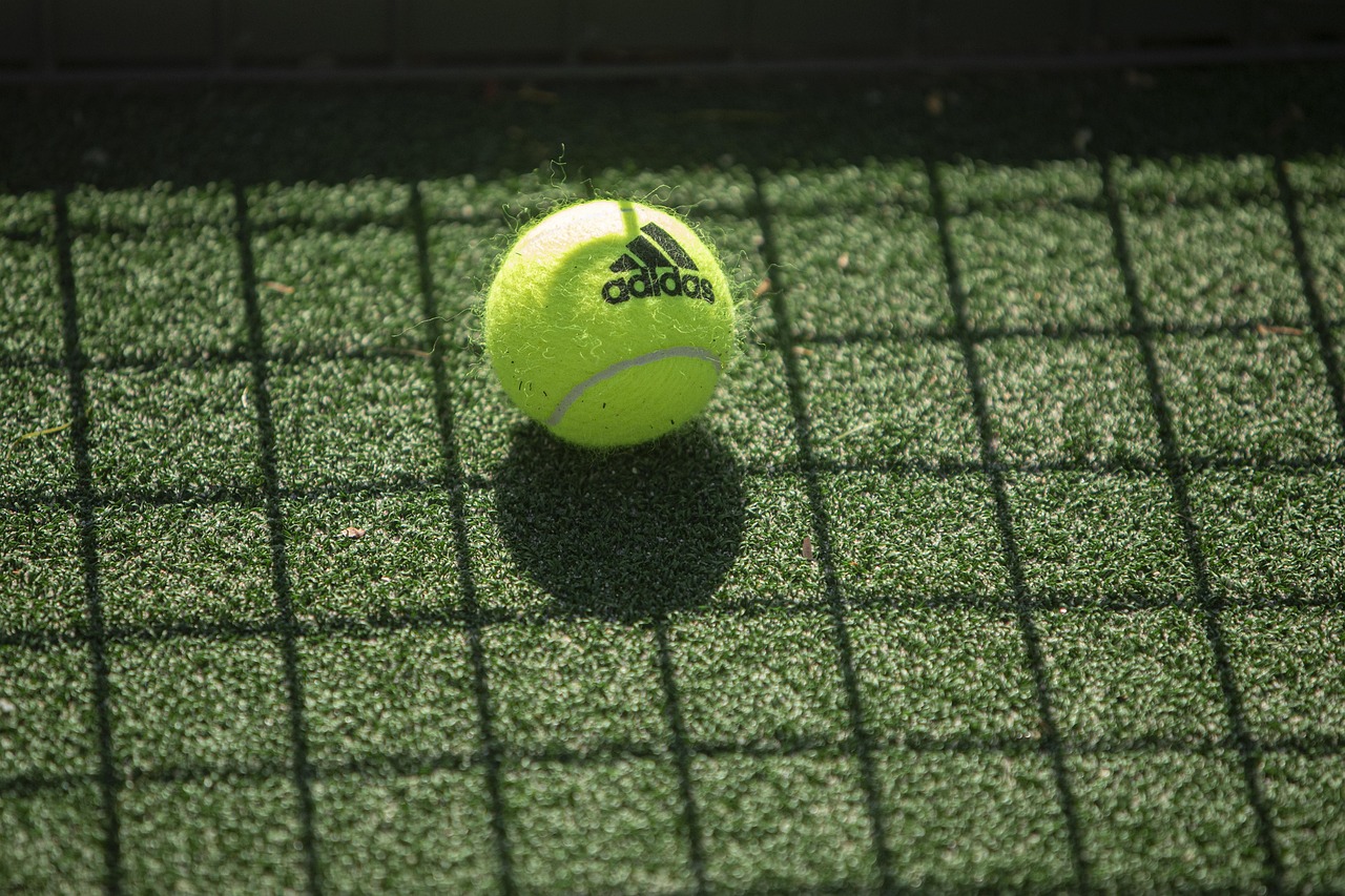 The Longest Tennis Match: An Endurance Unmatched