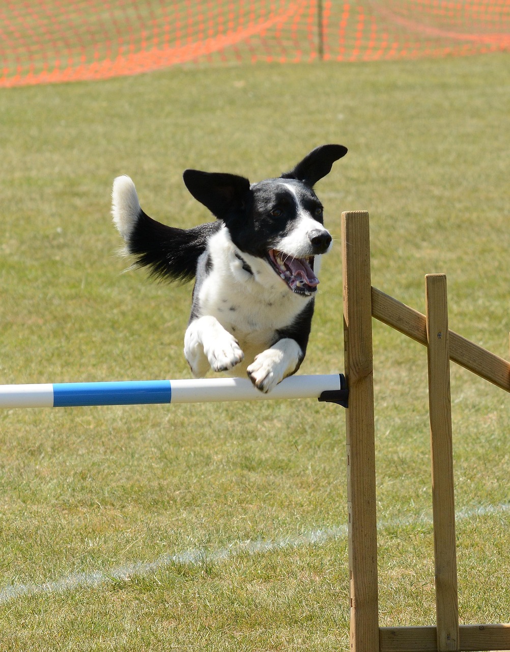 Boost Your Game with Agility Tennis Drills for Enhanced Performance