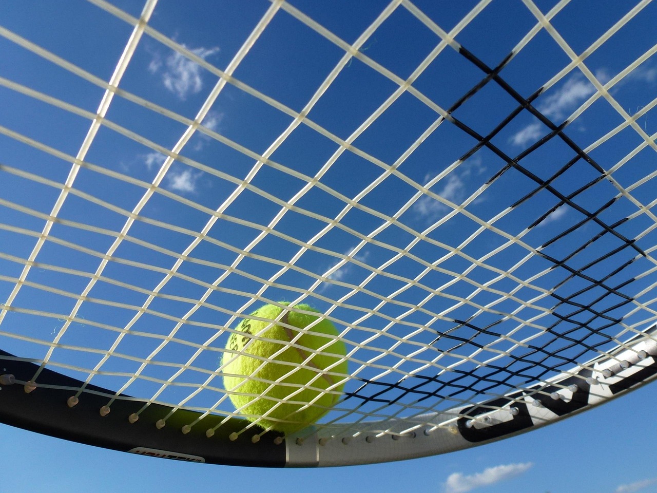 Find Tennis Balls Near Me: Your Ultimate Guide