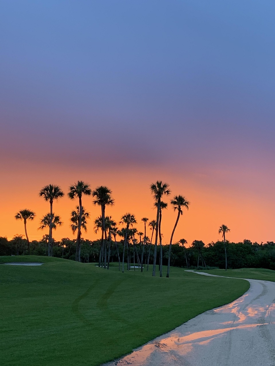 Discover the Charm of Lions Municipal Golf Course