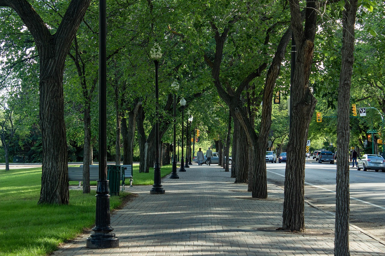 Uncover the Best of Saskatoon Golf: Courses, Tips, and More