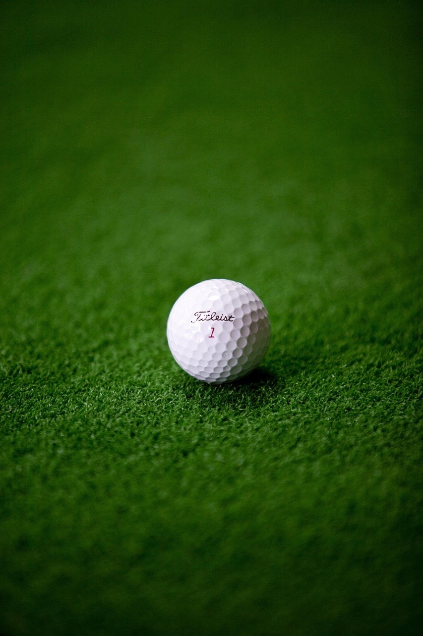 Explore the Allure of William Murray Golf: Style Meets Performance