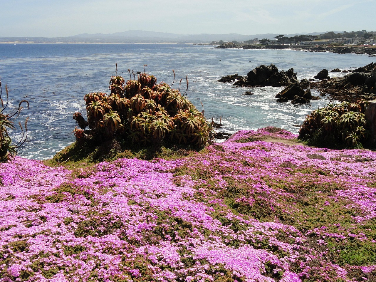 Discover the Best of Pacific Grove Golf: A Golfer's Paradise