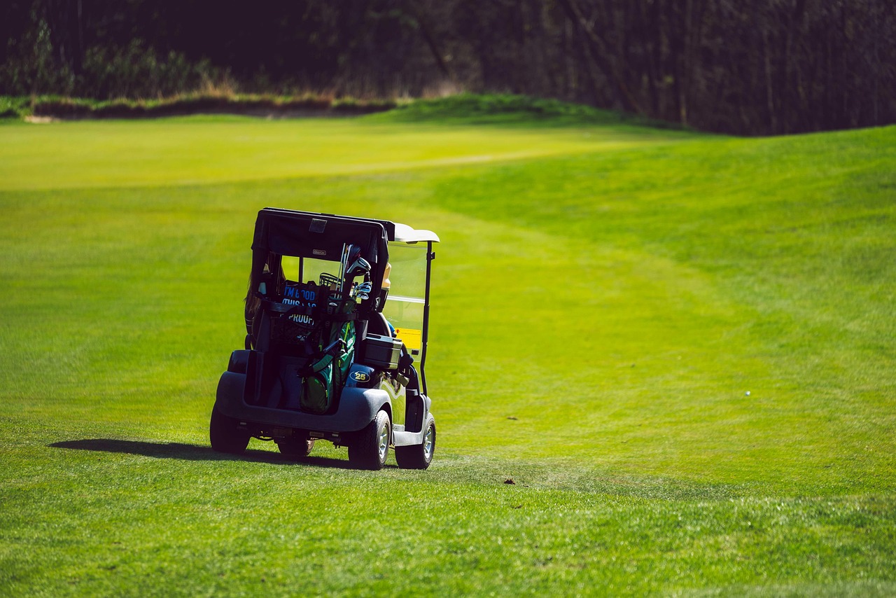 Everything You Need to Know About Golf Cart Wheels and Tires